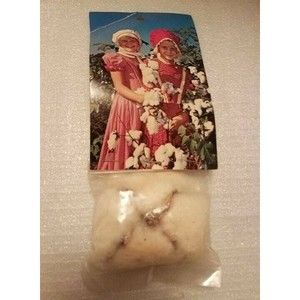 Vintage Dixie Plastichrome Postcard With Cotton Boll Attached Statesboro GA